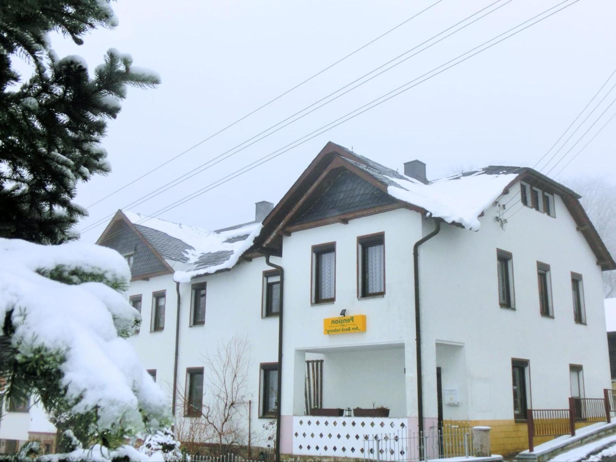 Flat Near The Tannenbergsthal Ski Resort Muldenhammer 外观 照片