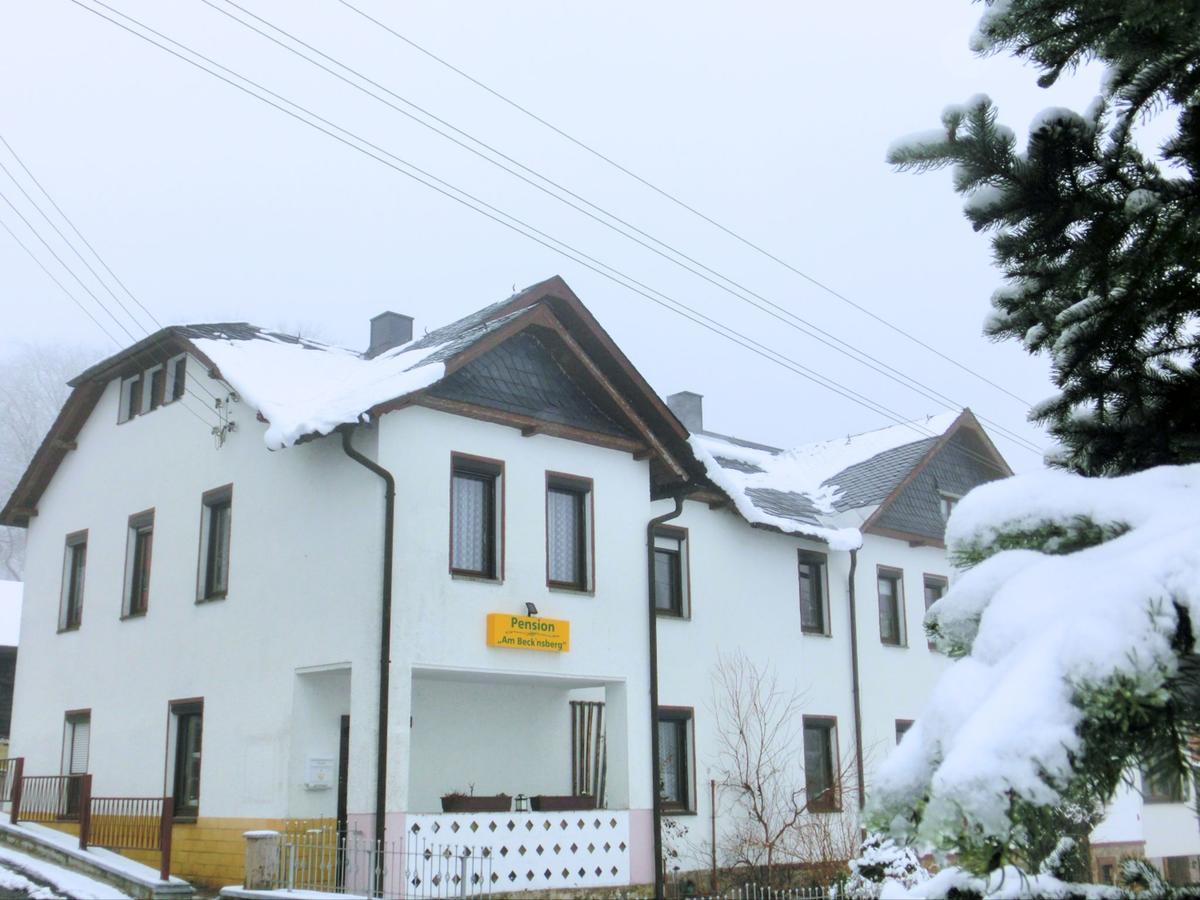 Flat Near The Tannenbergsthal Ski Resort Muldenhammer 外观 照片